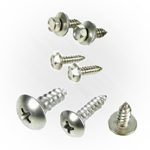 Stainless Screw